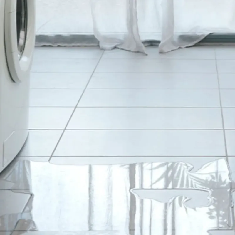 Appliance Leak Cleanup in Linganore, MD