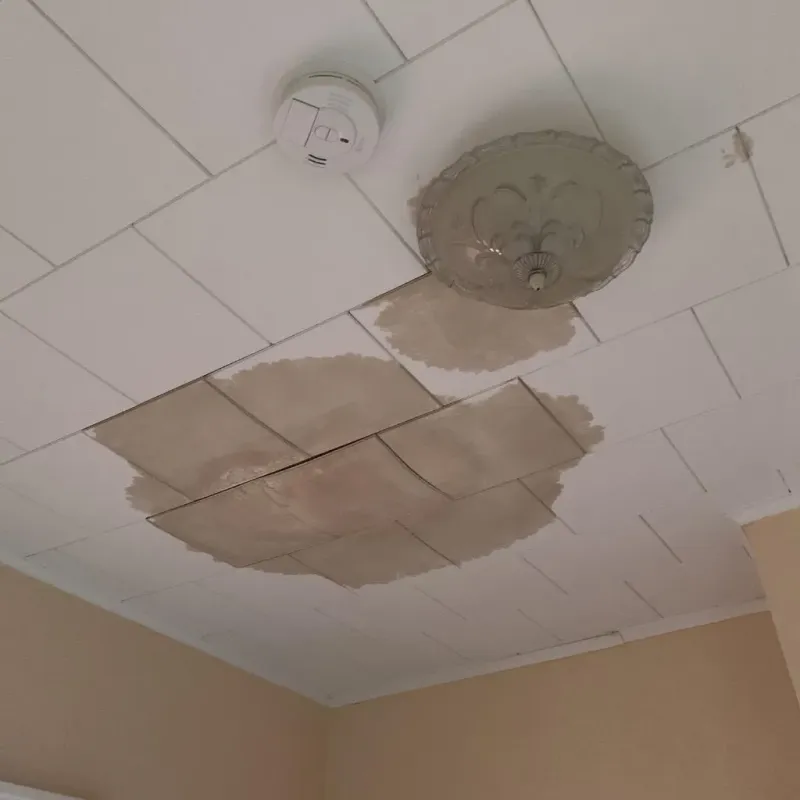 Ceiling Water Damage Repair in Linganore, MD