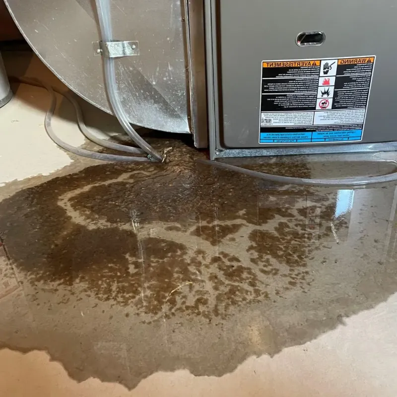 Pipe Burst and Leak Restoration in Linganore, MD